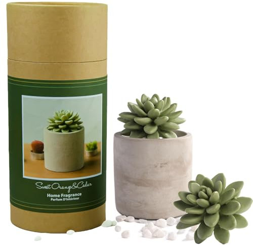 Pretty Valley Home Set di diffusori di fragranze succulente in gesso, in ceramica, 100 ml, per la casa, per bagno, ufficio, bagno, soggiorno, decorazione