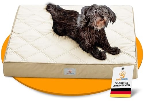 Orthopädisches Hundebett Wasserdicht - Die neue Lieblings-Hundematte deiner Fellnase, Rutschfestes Hundekissen, Hundekörbchen, Hundekorb, Bezug waschbar | Kleine bis große Hunde - 70x60x8 cm beige