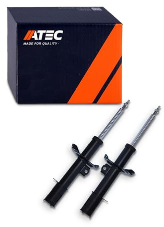 ATEC GERMANY 2x Gasdruck Stoßdämpfer Vorne Federbein Zweirohr