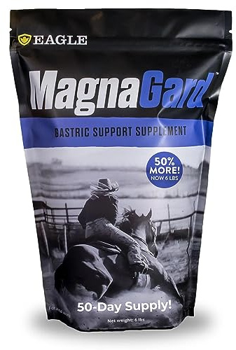 MagnaGard Gastric Support Supplement for Horses | Relieves Ulcers, Calming Supplement, Magnesium & Other Vital Minerals | Powder, 6 Pound Bag, 45-Day Supply | by Eagle Equine