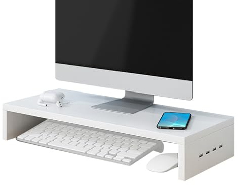 Zahoken Bildskärmsstativ för skrivbord, booster med 4 USB-portar, ergonomiskt laptopstativ, skrivbord för skrivare skärm bärbar dator elektronik hemskola lekrum arbetsstudie