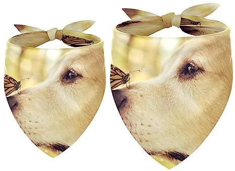 Passendes Set mit Hundehalstüchern, Hundelätzchen, Schal, Dreieckstuch für Hunde, Katzen, Haustierbesitzer, Mutter und Vater, 2er-Pack,Tierschmetterling und Golden Retriever