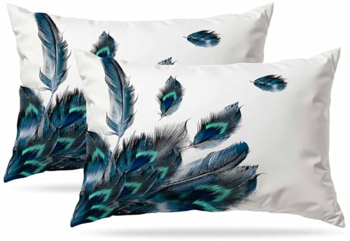 Zovinex Peacock Feather Watercolor Lumbar Cushion Cover Set of 2 Pack 30X50 12x20 Inch Decorative Bedroom Living Room Soft Short Plush Rectanglar Throw Pillow Cover for Bed Sofa Couch