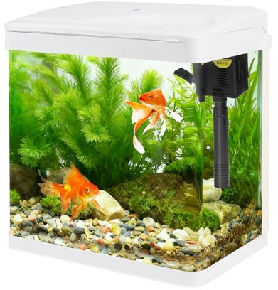 Small Glass Aquarium Tank 8L with Filter and Light, All-in-One Desktop Glass Fish Tank Kit with Pump for Goldfish, Betta, Shrimp, White