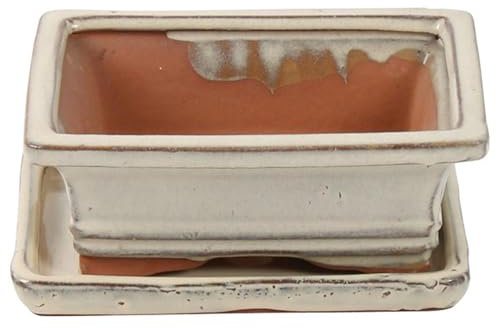 Bonsai Pot with Saucer - Rectangular 15cm - White - Perfect for Bonsai Trees and Succulents