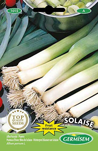 Germisem graines Poireau d'hiver Bleu de Solaise SOLAISE