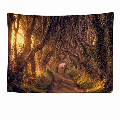 Ulticool - Árboles Paisaje Misterio Fantasía - 200x150 cm - Tapiz Grande - Decoración de Pósteres - Decoración - Papel Pintado - Lienzo - Pintura - Accesorios Separadores de Habitaciones - Marrón