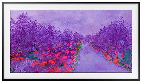 Samsung The Frame 2.0 65-Inch Art Mode Ultra HD certified TV