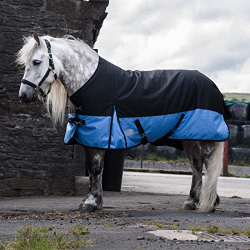 Equitack 1200D Winterdecke Pferdedecke, 155cm | 100g Regular Regendecke Pferd mit Fleece | wasserdichte Outdoordecke Pferd | Schwarz/Baby Blau