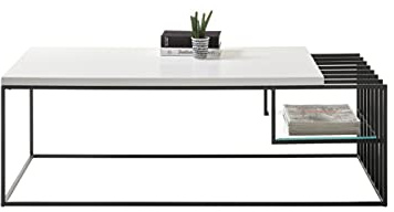 Robas Lund Couchtisch Weiß matt lackiert, Gestell Metall schwarz BxHxT 120x40x60 cm
