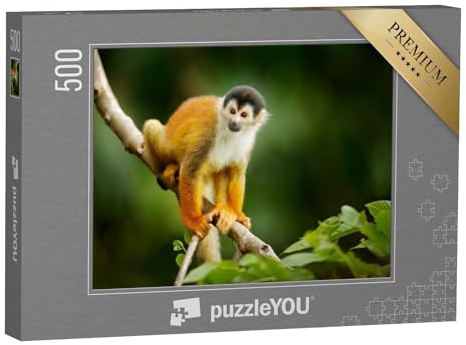 puzzleYOU: Puzzle 500 Teile „Totenkopfäffchen, Saimiri oerstedii, auf einem Baumstamm, Costa Rica“ – aus der Puzzle-Kollektion Affen, Tiere in Dschungel & Regenwald