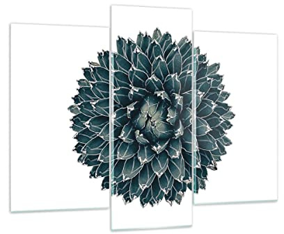 Moderne Impression sur Verre 130x100cm Image Tableau en Verre Decoration Murale Agave Reine Victoria Grand Tableaux Decoratifs Muraux Chambre Triptyque 3 parties Deco Cadre Salon Art GCB130x100-4129