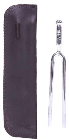 EPIGEIST Stimmgerät mit Tasche aus Edelstahl Stimmgabel mit Klarer Tonqualität Langer Schwingungsdauer für Streichinstrumente und Gitarre