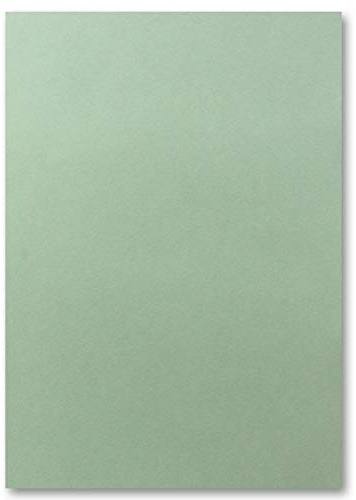 100 DIN A4 Papierbögen Planobogen - Eukalyptus (Grün) - 240 g/m² - 21 x 29,7 cm - Bastelbogen Tonpapier Fotokarton Bastelpapier Tonkarton - FarbenFroh