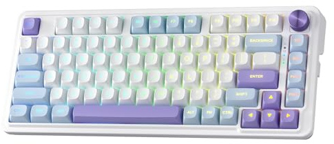 Redragon K673 MAX 75 % trådlöst gasket RGB-speltangentbord, 3 lägen, 81 tangenter, kompakt PBT-tangentbord med hot-swap, dedikerad knappkontroll och 5-lagers brusreducering, linjär brytare
