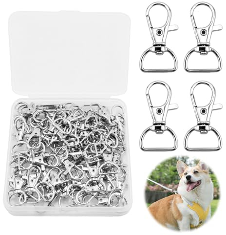60pcs Schlüsselanhänger, D Ringen, Schlüsselring Verschluss,Schlüsselanhänger Ringe Für Diy Projekte, Hochwertige Zinklegierung, Rotationsdesign, Einfach Zu Bedienen, Ideal Für Schlüssel, Taschen