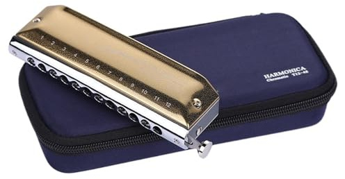 Mundharmonika-Set Chromatische 12-Loch-Mundharmonika Mit Membran Spielinstrument, Geprägte Abdeckung Aus Goldenem Edelstahl
