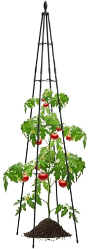 lisutupode Treillis pour plantes en pot | Fil de support de tige de vigne | Support de cage à fleurs pour légumes en pot, lierre, plante d'intérieur, jardin, pelouse