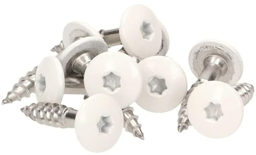 100x MEISTERLING® Fassadenschrauben INOX V4A 5,5 x 35 mm – Flachkopf Torx T20 + 1 Bit – Weiß