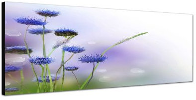 Augenblicke Wandbilder Keilrahmenbild Wandbild 150x50cm Blumen Blüten Gräser abstrakt