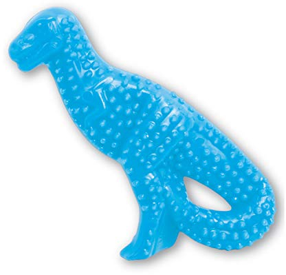 Nylabone Gentle Puppy Dog Teething Dental Dino Chew Toy, Chicken Flavour, Small, for Puppies Up to 11 kg