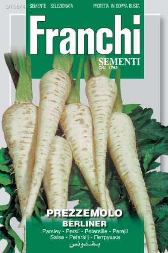 Franchi Hamburg Parsley Root Parsley Berliner
