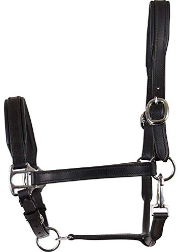 CATAGO Lederhalfter - schwarz - Warmblut