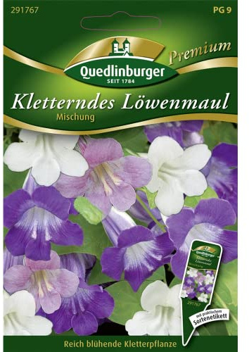 Quedlinburger Saatgut Kletterndes Löwenmaul Samen