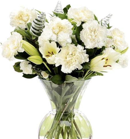 SendaBunch Fresh White Flower Bouquet - Elegant Arrangement of Carnations, Lilies & Chrysanthemums in Glass Vase (30cm x 50cm) - Beautiful Presents for Women, Fresh Cut Flowers for All Occasions