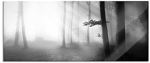 Tableau panoramique en verre véritable - Forêt sombre dans la brume - 100 x 40 cm - Avec suspension et entretoises