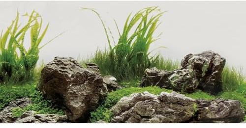 MIRRORANG 120x50cm Alga Acquario Sfondo Pianta Acquatica Fiume Letto e Lago Acquario Sfondo Pietra Acquario Sfondo Vinile