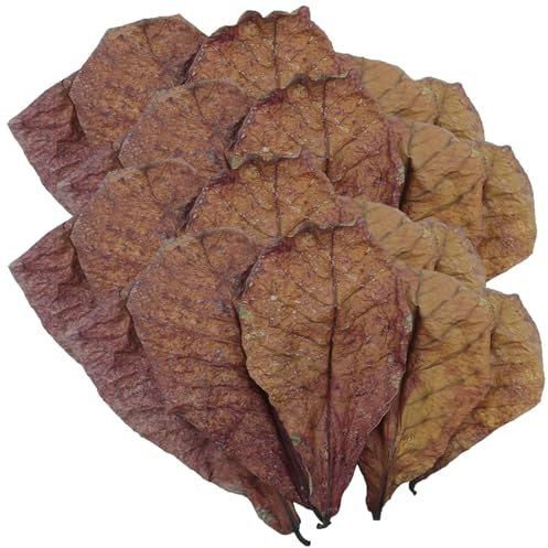 Betta Garnelenblätter, Catappa Indische Mandelblätter für Aquarium, Mandelblätter für Betta-Fische, Betta-Zubehör für Schildkröten, Garnelen, Wels und Frosch
