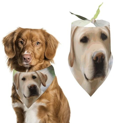 Hundehalstuch mit niedlichem Labrador, Dreieck, waschbar, Polyester, Hunde-Lätzchen, niedliches Haustier-Bandana für mittelgroße und große Hunde, Welpen und Katzen