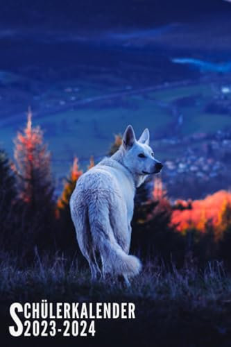 Schülerkalender 2023 2024: Wolf - Schulplaner Für Grundschule, Mädchen, Jungen, Teenager Mit Wochenplaner Und Mehr| Raum Für Fach, Aufgaben, Notizen
