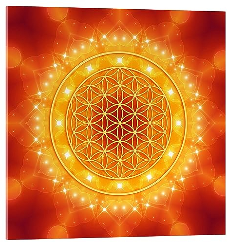 Posterlounge Blume des Lebens - Goldene Lichtenergie Acrylglasbild von Dolphins DreamDesign 70 x 70 cm Wandbilder Wanddeko