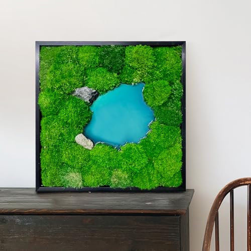 Relxhmft 30 x 30 cm konserviertes Moos, Wandkunst, keine Wartung, Moos-Wanddekoration mit schwarzem Holzrahmen, handgefertigtes natürliches Moos, Wandpaneel für Schlafzimmer, Wohnzimmer, Badezimmer,