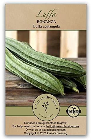 Gaea's Blessing Seeds - Luffa Gourd Seeds (3.0g) - Bonanza Heirloom - Non-GMO Seeds with Easy to Follow Planting Instructions - Heirloom Sponge Ridged Loofah Muop Huong 94% Germination Rate