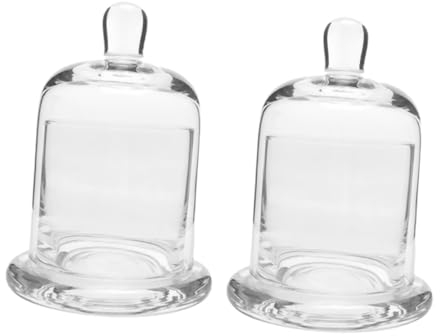 EXCEART 2 Ensembles Cloche en Verre Couvercle Alimentaire en Verre Récipient à Gâteau D'exposition De Fleurs Préservées Globe De Fromage Charmant Fabriquer des Outils Un