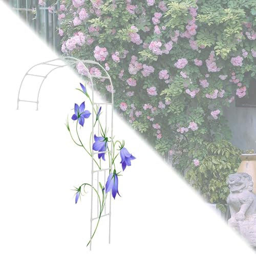 LIYI929GP Wandbogen Rosenbogen AntiRost Rankhilfe Halbbogen, Metall Garten Halbbogen Rankgitter Torbogen Stabil Wetterfest, Rankhilfe Spalier Pflanzenstütze Gartenhalbbogen, Leicht Zusammenzubauen
