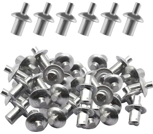 Generic 100Pcs Aluminum Core Rivets with Round Head, Hammer Drive Rivets, Knock Type Expansion Aluminum Rivets for Indoor Outdoor Electronic Equipment(100pcs)