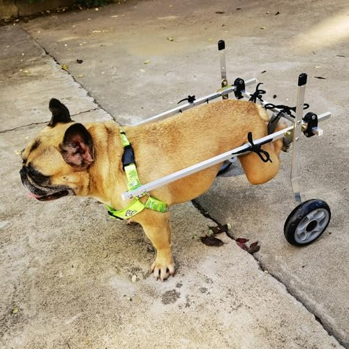 Hunderollstuhl, Verstellbarer Hunderollstuhl für die Hinterbeine, Katzen-/Hundefahrradanhänger mit langlebigen Lagern, Rollstuhl zur Mobilitätsunterstützung für Haustiere mit einem Gewicht v
