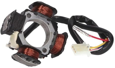 Lichtmaschine Stator 79mm für Morini Derbi Motor Italjet Formula Vamos Atala 491, Hacker, Byte, Skeggia, Naked, Pepe, Atlantis, Hunter, Paddock, Predator, Formula, Torpedo, Velocifera, Suzuki Katana
