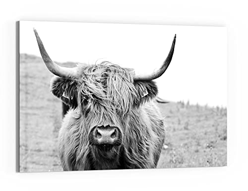 DEQORI Glas-Magnettafel | 60x40 cm groß | Motiv Zotteliges Hochlandrind | Memo-Board aus Glas | Magnetboard inkl. Magnete, Stift & Tuch für Küche & Büro | Tafel magnetisch & beschreibbar