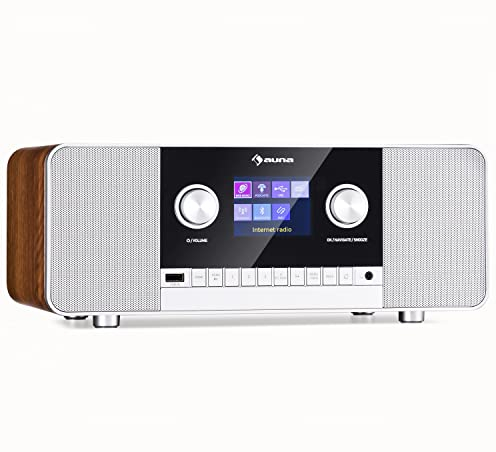 Auna Radio Portable Bluetooth et Rechargeable, Poste Radio Numérique Dab/Dab+/FM et Streaming, Radio Portables Stéréo 15W, Écran TFT, 5h d'Autonomie, Radio FM, Alarme de Réveil, Alimentée au Secteur