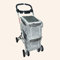 Haustier-Buggys für 2 Hunde, 4-Rad-Haustier-Buggy, faltbarer Zweisitzer-Transporter, Kinderwagen für Hunde und Katzen (grau)