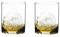 Riedel Bicchiere da Whisky H2O