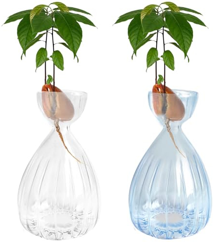 2 Stück Avocado-Samen-Sprossen-Vase, gestreifter Stil, Avocado-Glasvasen, Glasvasen für Zuhause, Tisch, Schreibtisch, Innendekoration (transparent + blau)