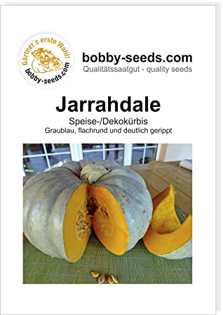 Bobby-Seeds Kürbissamen Jarrahdale Portion