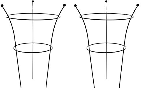 RUDDINGS WOOD Set of 2 x Three Leg Metal Medium Peony Supports Ring Cages 65cm high x 42cm diameter Garden Herbaceous Flower Plant Cone Frames