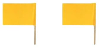 Juego de 2 banderas pequeñas de 20 x 30 cm y 30 x 40 cm, para hacer ejercicios matutinos de color liso, para deportes, reuniones, suministros de fiesta, color amarillo, 30 x 40 cm